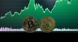 Kriptodevizák kezdőknek